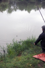 feeder2025034