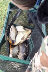 feeder2025054